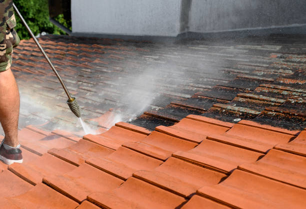 Why Choose Our Certified Pressure Washing Experts for Your Project Needs in Milan, MI?