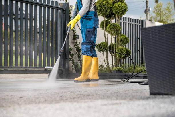 Best Residential Pressure Washing Services  in Lan, MI