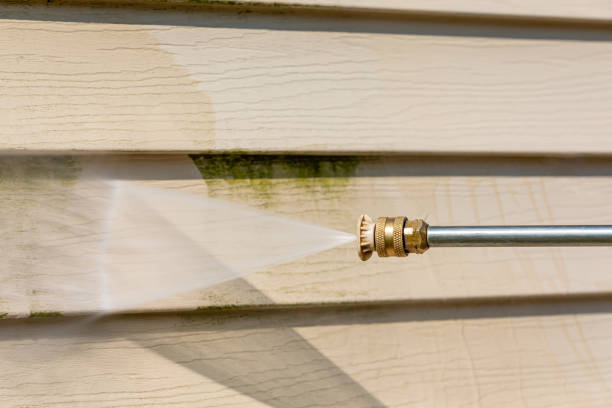 Local Pressure Washing Services in Milan, MI