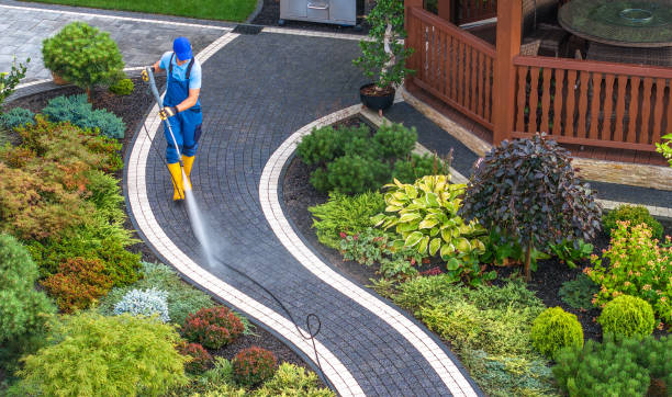 Deck Cleaning Services in Milan, MI