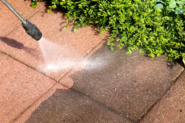 Roof Power Washing Services in Milan, MI